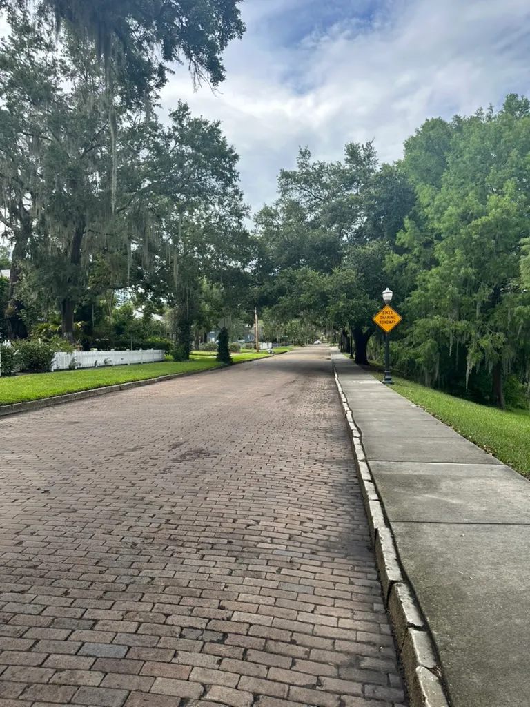 Vitrified clay brick pavement on Lake Avenue looking north, lined with live oaks and Spanish moss
