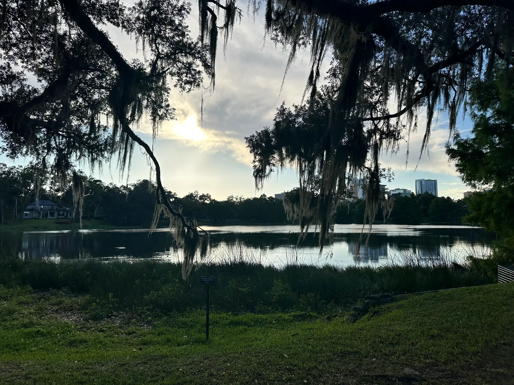 Lake Cherokee al atardecer dorado, enmarcado por ramas de roble vivo cubiertas de musgo español, con el horizonte del centro de Orlando en la orilla opuesta